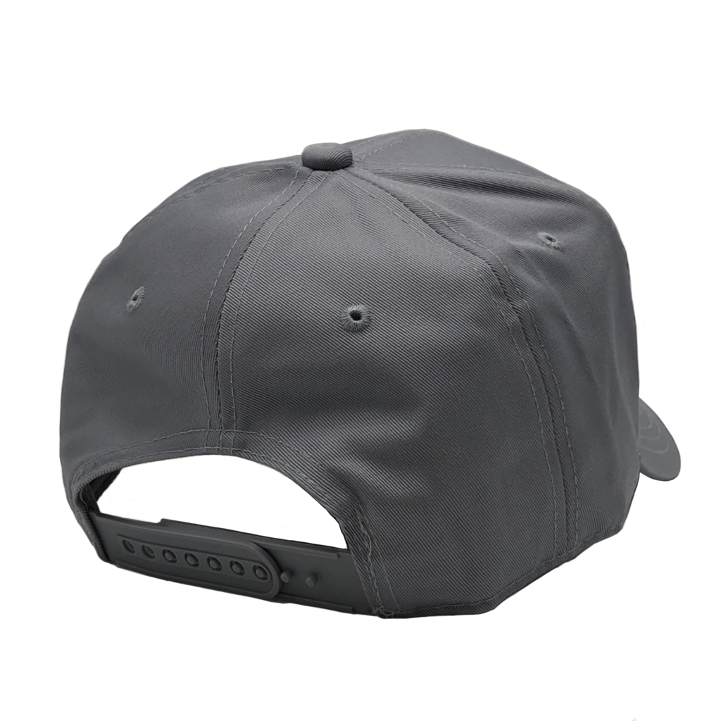 GN-1050 - Pro Style Cap HATS