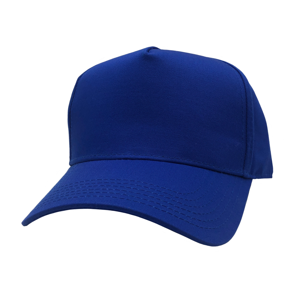 GN-1051-5P - Pro Style Cap Royal / One Size HATS